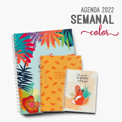Agenda-2022-Semanal-Agenda-Semana-a-la-vista-2022-A5-A4-Pocket-Color-Alestra-Ediciones
