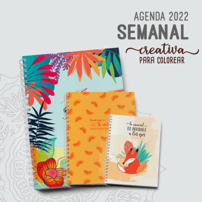 Agenda-2022-Semanal-Agenda-Semana-a-la-vista-2022-A5-A4-Pocket-Creativa-Alestra-Ediciones