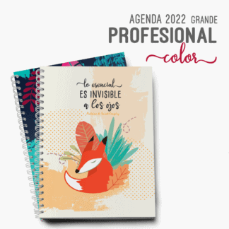 Agenda-Profesional-2022-GRANDE-A4-Color-Alestra-Ediciones
